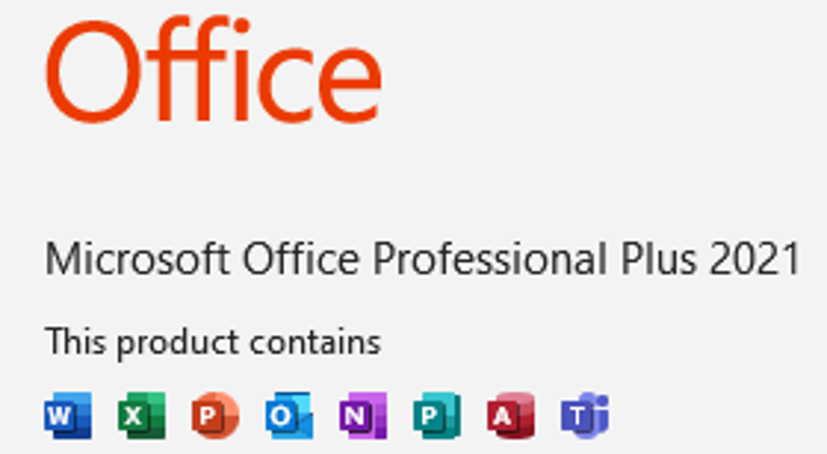 Microsoft Office 2021 Professional Plus License Detail